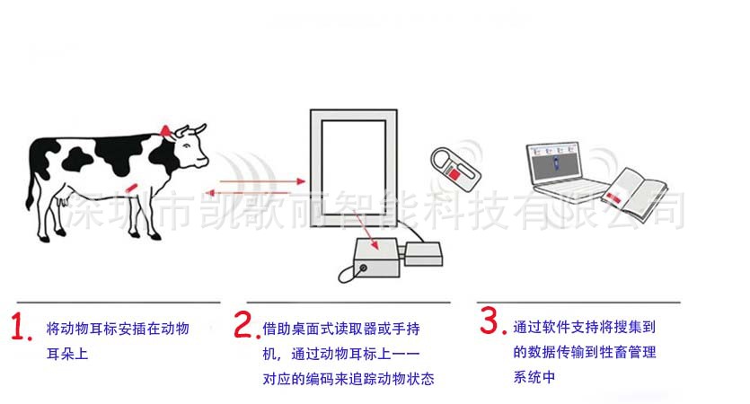 动物管理耳标 应用