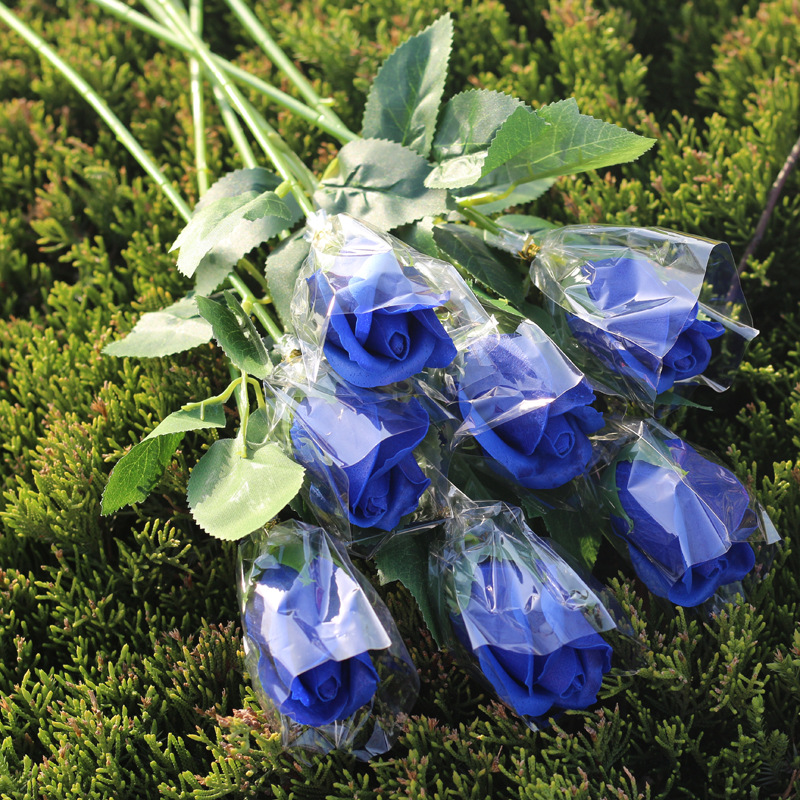 TB26zSdc8smBKNjSZFFXXcT9VXa_!!