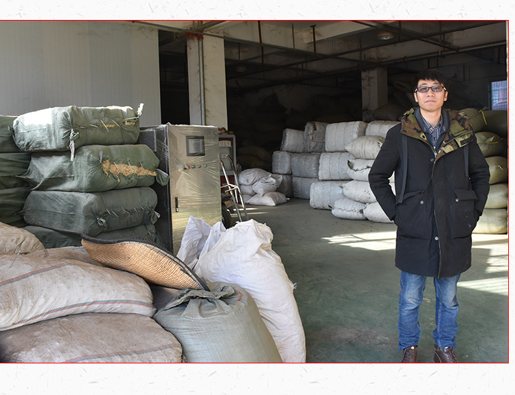 Shen Jin Cao (Lycopodium clavatum) — Dried Food Herb for Tendon-Soothing Soups & Teas quality and texture