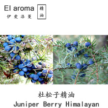 ϲ�R���Ŷ����Ӿ���Juniper Berry Himalayan����ݮ�{��10ML��ӆ