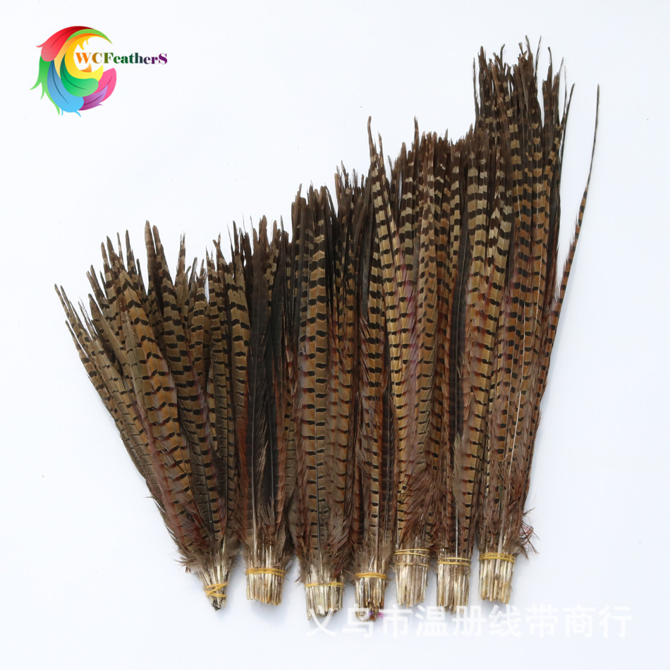 温册羽毛 厂家直销15-65cm天然山鸡尾七彩山鸡舞台演出剧组专用详情图12