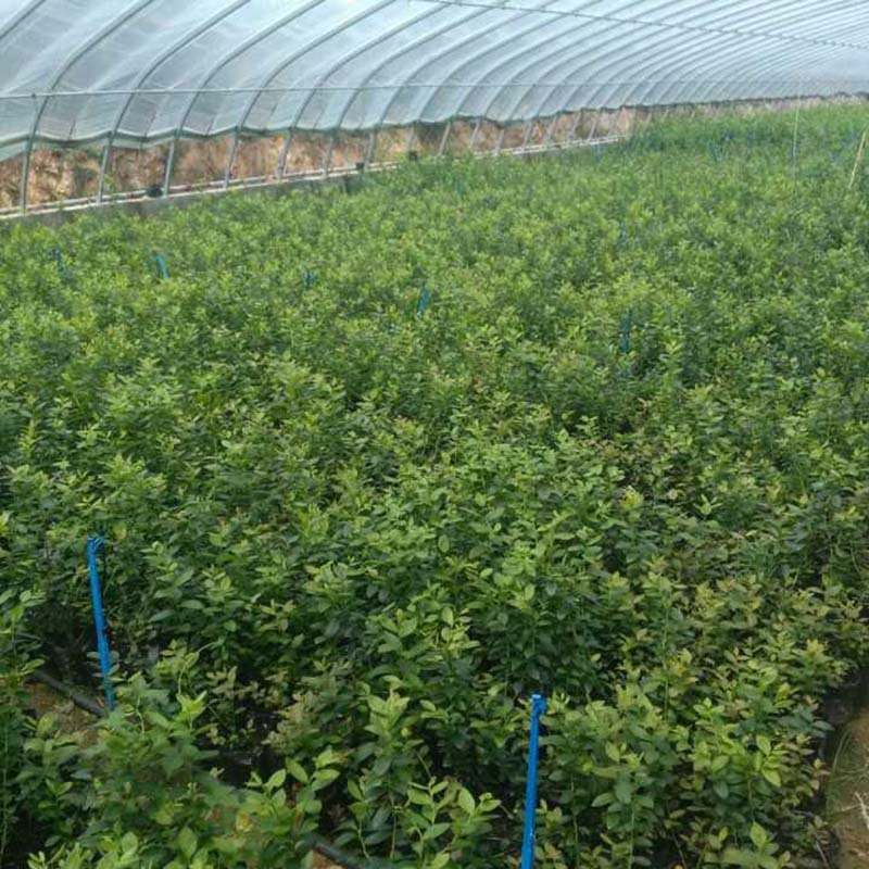 4A7151B6774344118E4A20A35D19B4