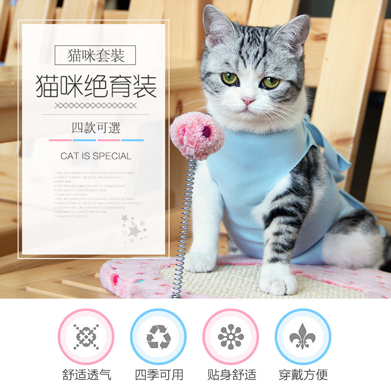 宠物医院猫绝育服猫术后服断奶衣服透气生理服宠物衣服用药防舔