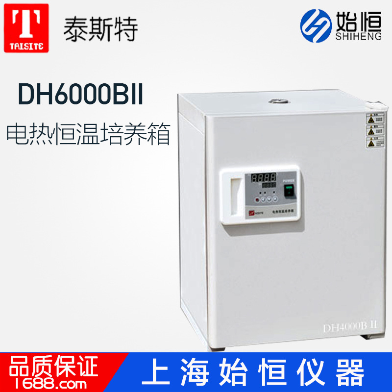 天津泰斯特DH6000BII电热恒温培养箱细菌培养箱