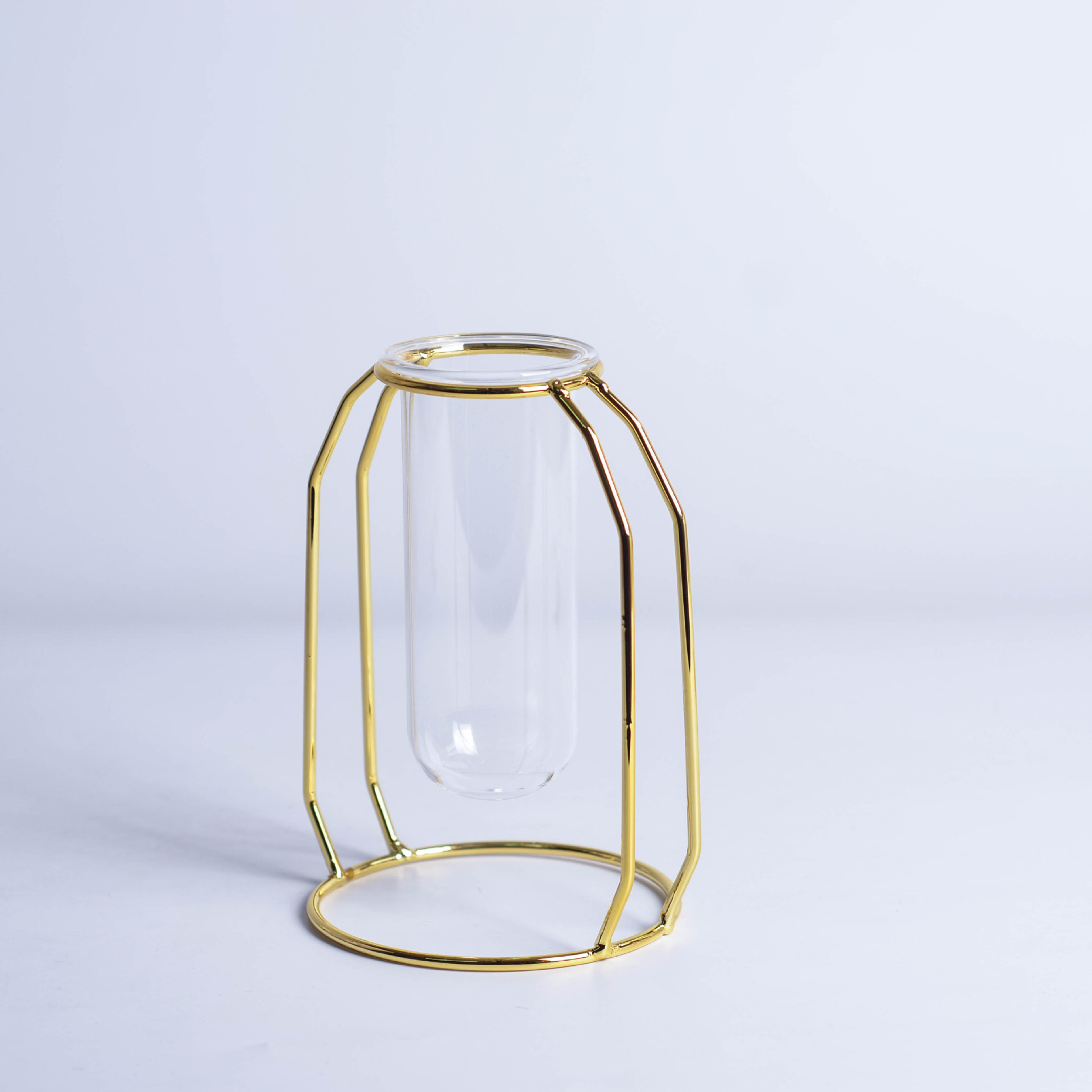 INS Minimalist Luxury Glass Hydroponic Metal Vase