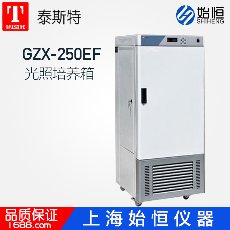 泰斯特GZX250EF 光照培养箱 植物培养箱 种子培养箱 四面光照