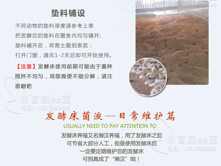养鸡专用发酵床菌种