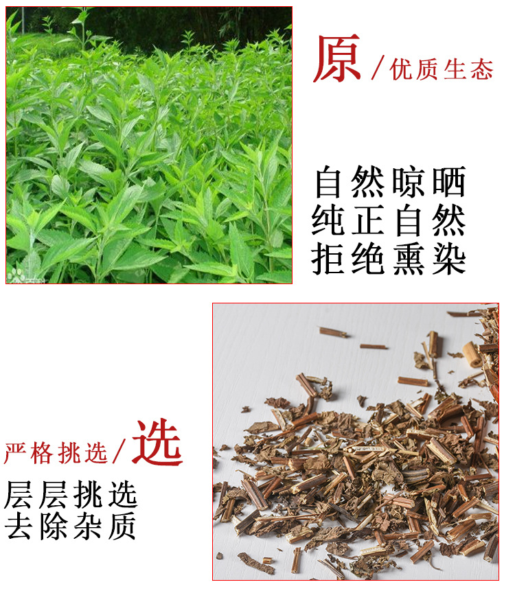 Xi Huang Cao (Rabdosia serra) — Dried Food-Herb Botanical for Herbal Tea & Decoction quality and texture