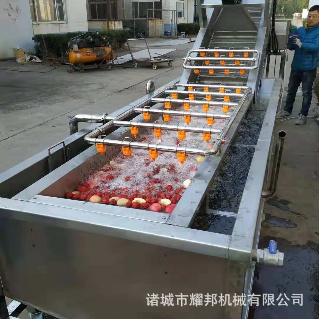 全自动洗果机 水果清洗机 气泡式果蔬清洗机 现货供应