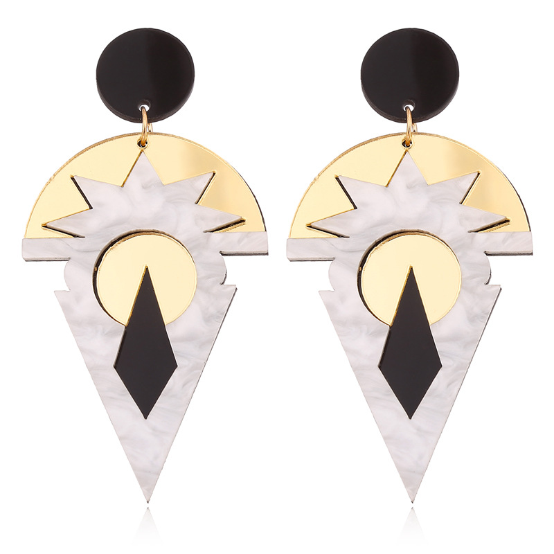 Hot-selling Geometric Retro Acrylic Hot-selling Earrings  Wholesale display picture 7