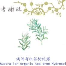 批发澳洲进口有机茶树纯露  互叶白千层  天然植物花水1KG起订