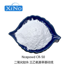 AS表面處理貼膚原料  BB霜粉底適用親油 鈦白粉 Ncepowd CR-50