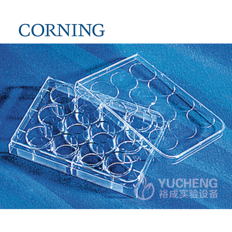 6/12/24/48/96孔细胞培养板  3516 3513 3524 3548 3599