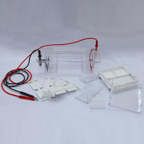 琼脂糖水平电泳仪BJL/DYCP-31DN