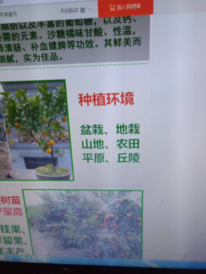 QQ图片20181120171701