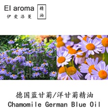ʾվChamomile German Blue{ĸՆη1MLӆ
