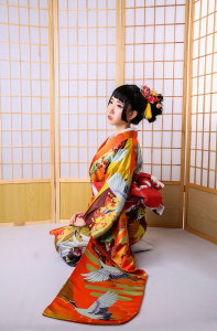 Japanese orientation printing crane orthodox kimono