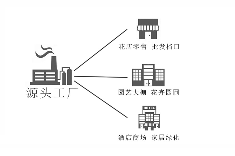 版头_02