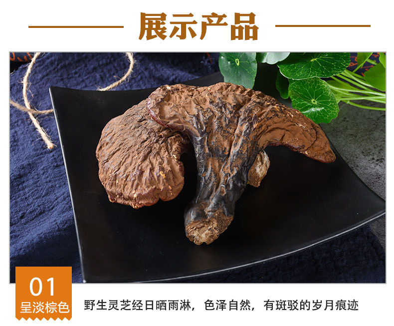 Reishi Mushroom Slices (Ganoderma lucidum) — Dried Chi Zhi from Changbai Mountain, Jilin quality and texture