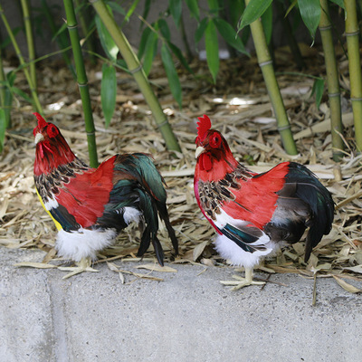 高24/14.5cm廠家直銷仿真公雞超市商場裝飾羽毛動物禮品公雞擺件