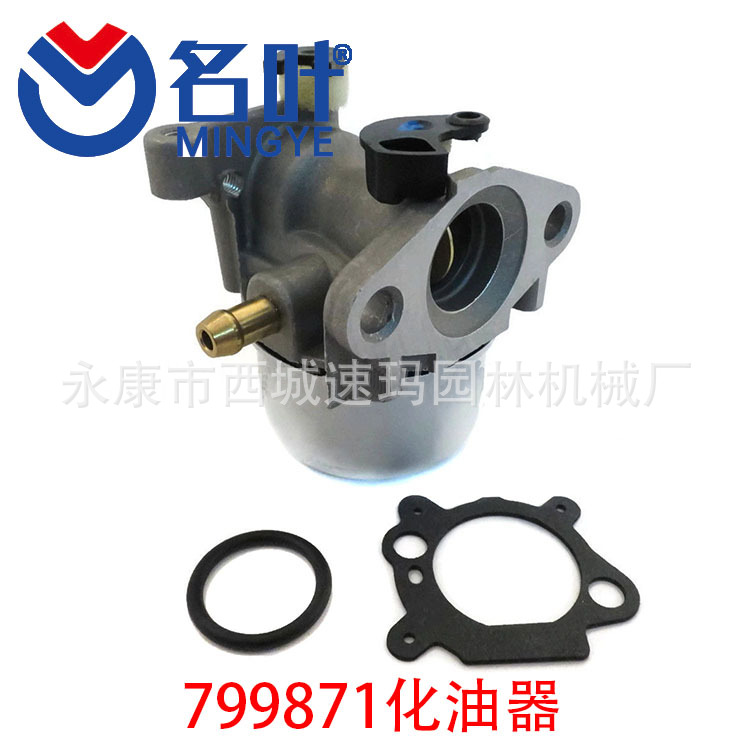 Briggs & Stratton 799871