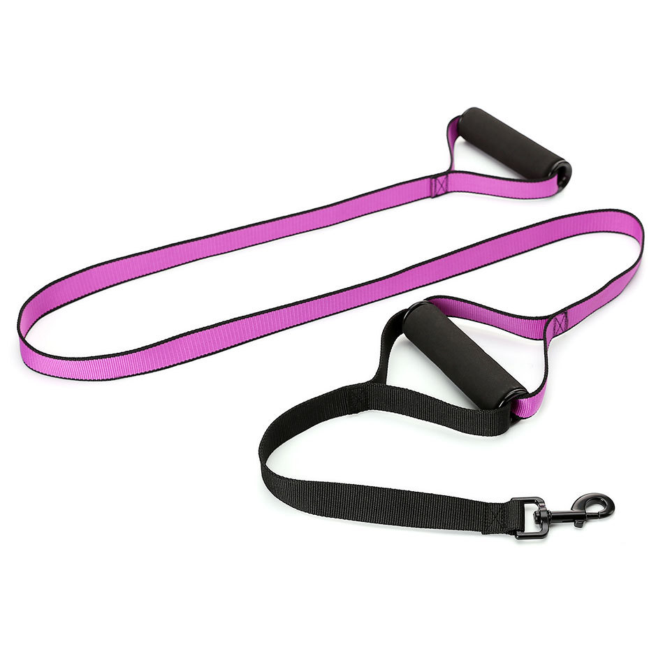 Dog Leash Image 2
