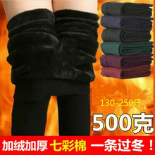 秋冬新品500克七彩棉女裤大码加厚加绒打底裤外穿超厚保暖一体裤