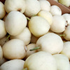 Zhongke Maohua Water Fruit and Vegetable Seeds Xiangman Garden White Sweet Sweet Seed Perma Gourd Seeds White Permanent Porcelain Seed