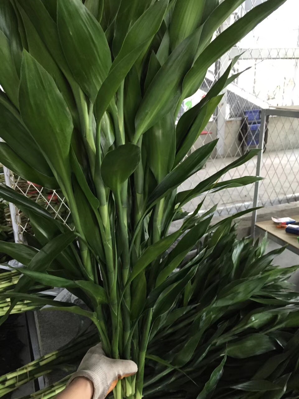 微信图片_20180514155611