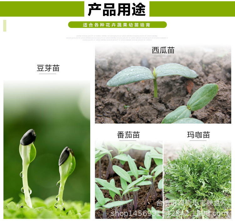 铁皮石斛育苗盘详情 (3).jpg