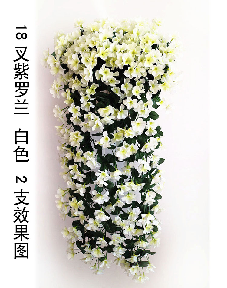 18叉紫罗兰 白色