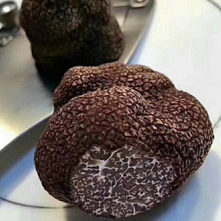 2018���rȫ�����¶�i�����������ЋDʳ�þ���ƬҎ���Rȫ