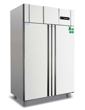 冰立方FX2双大门直冷冰柜 立式双门直冷冷冻柜 大二门冷冻冰箱