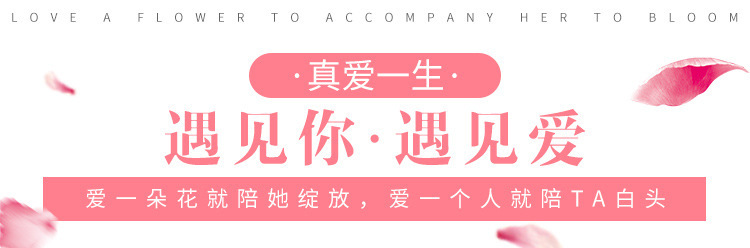 9090596167_1353965841