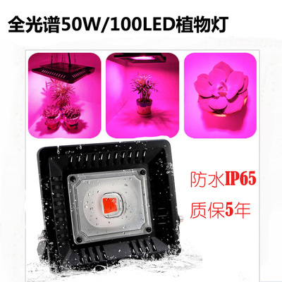 LED Grow Light Spectrum 50W100W Hydroponic Vegetables greenhouse Botany EU regulations U.S. regulations Amazon Explosive money