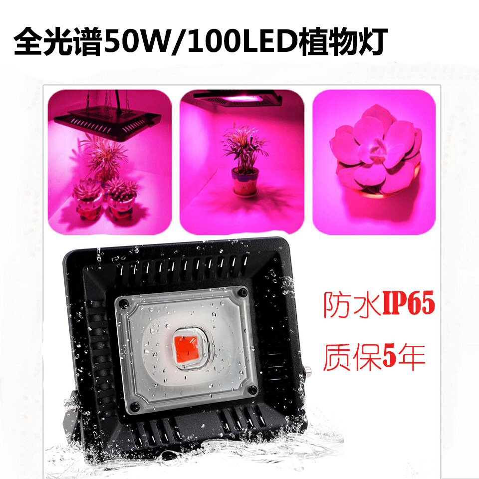 LED Grow Light Spectrum 50W100W Hydroponic Vegetables greenhouse Botany EU regulations U.S. regulations Amazon Explosive money