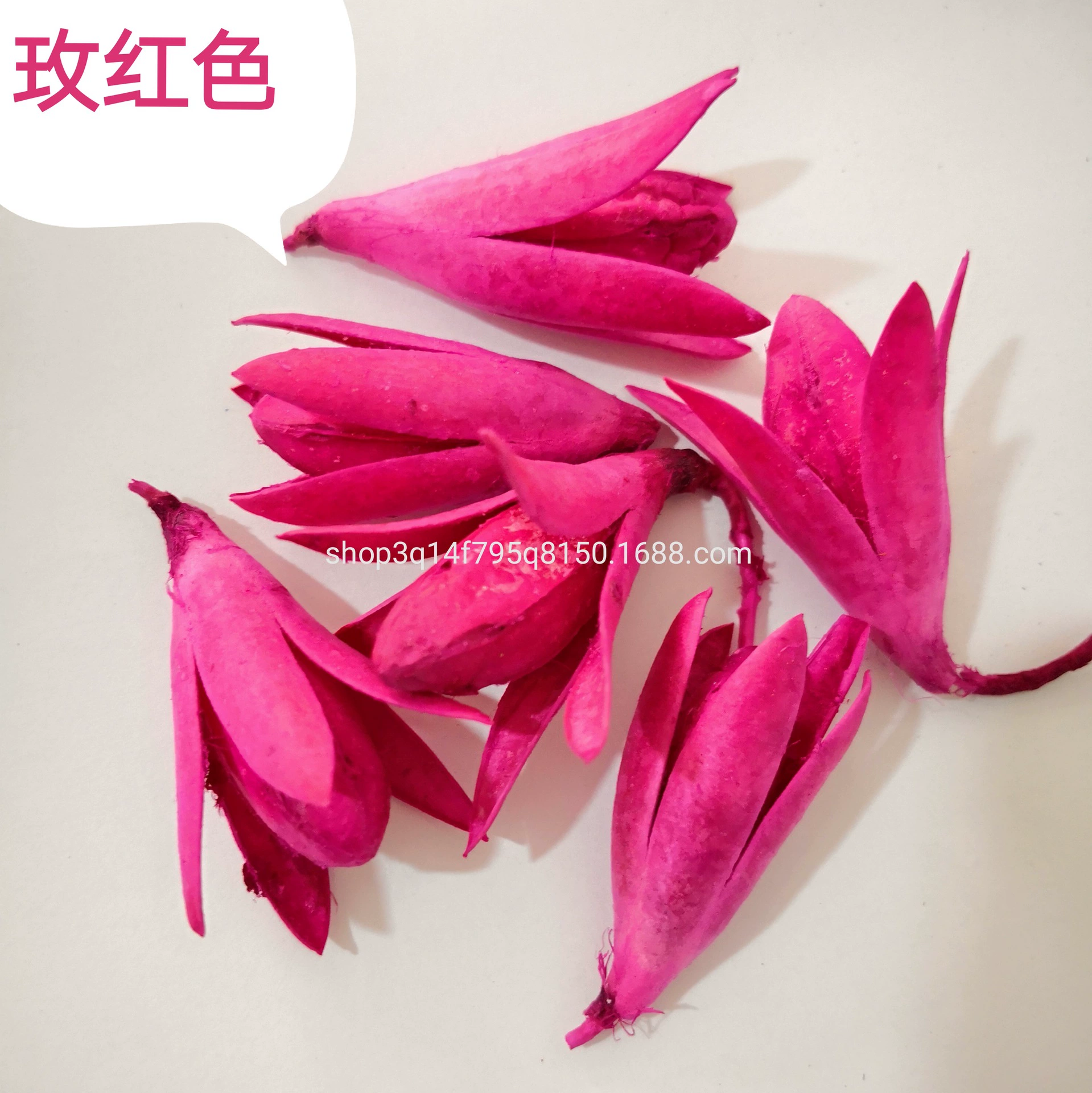 [Magnolia] Manufacturer supply naturally toon fruit shell Magnolia dried magnolia flower DIY handmade flower combination flower material