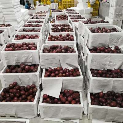 Yunnan Boutique class a Passion fruit Red berries Passionflower gold Passion fruit Wholesale and retail On behalf of