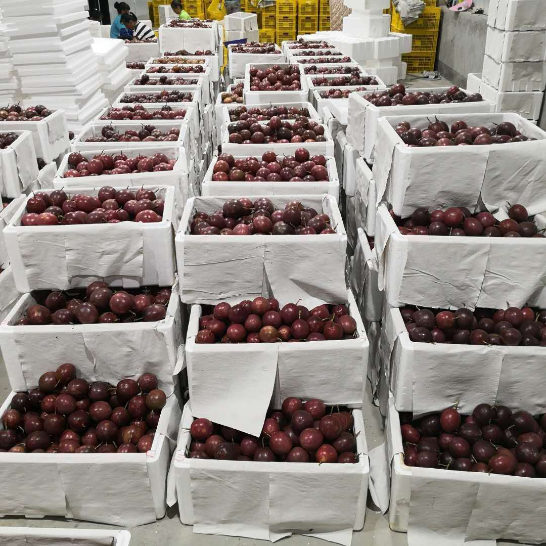 Yunnan Boutique class a Passion fruit Red berries Passionflower gold Passion fruit Wholesale and retail On behalf of