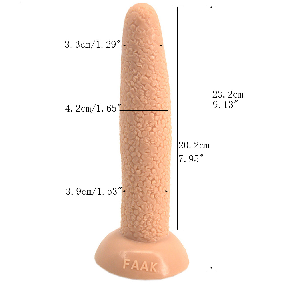 Anal Plug Image 1