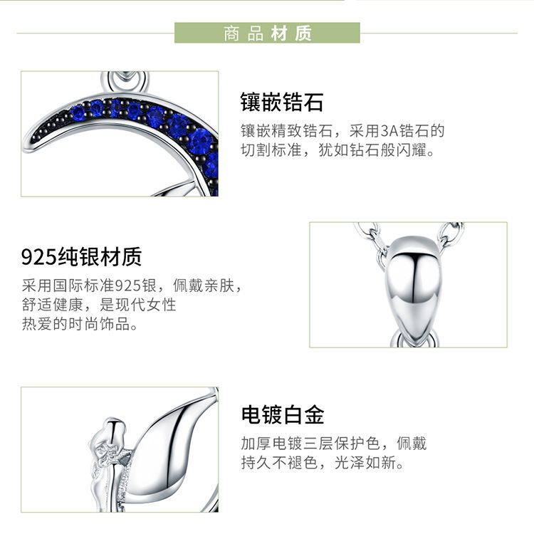 SCN244_04.jpg