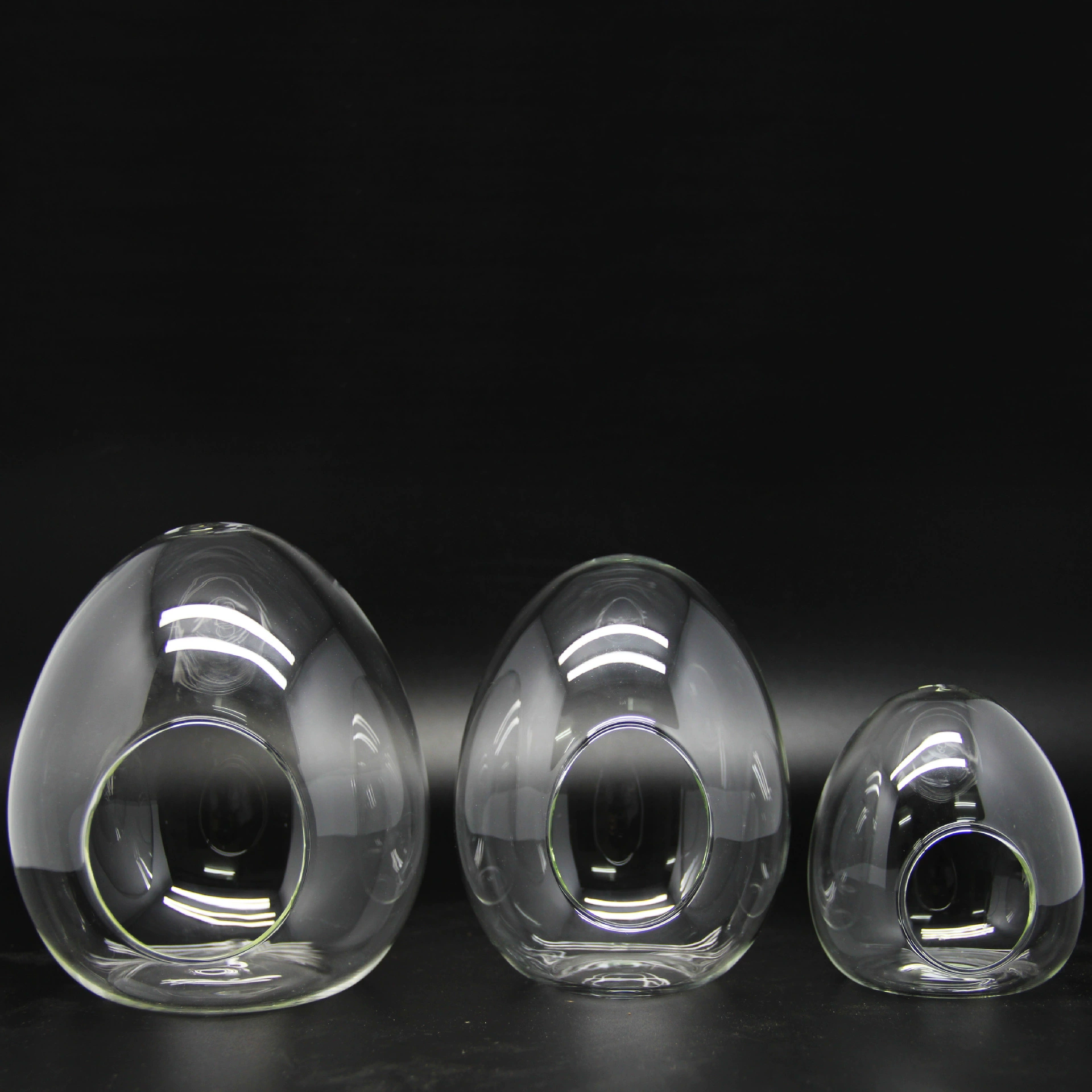 Мох завод озеленение контейнер микропейзаж экологическая бутылка DIY стеклянная бутылка в форме яйца бутылка Яйца бутылка яйца