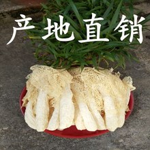 ���������N������o��������p��Ɓ��؛���l �خa���лʺ�100g/��