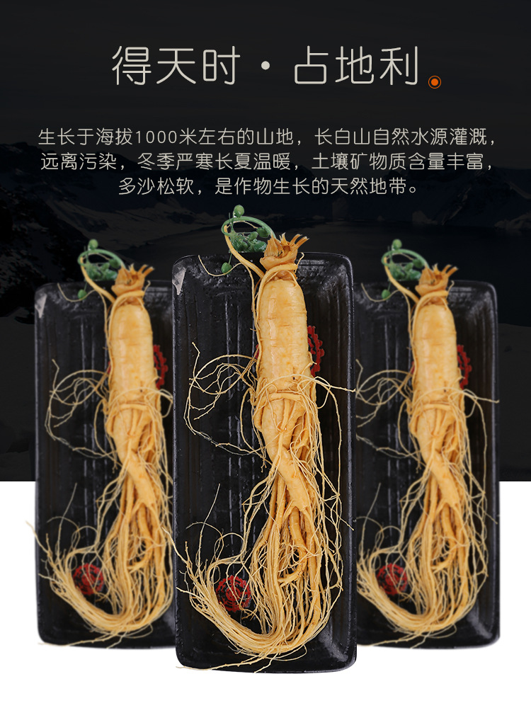 Changbai Mountain Fresh Ginseng (Panax ginseng) — Whole Roots for Wine & Soup specifications
