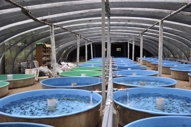 连云港鱼苗虾苗孵化池空气能恒温加热设备 水产养殖恒温系统