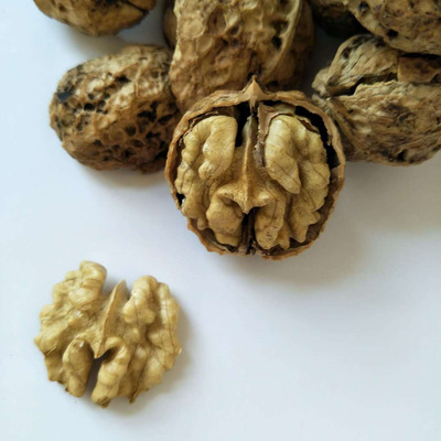 云南麻子薄皮核桃散装直批地摊跑江湖热卖爆暴利产品货源核桃批发|ru