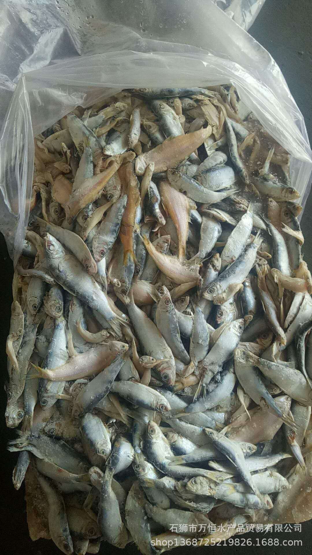冰冻小杂鱼饲料批发,低价出售冰冻饲料鱼,冰鲜小杂鱼大量批发(第2页)_大山谷图库