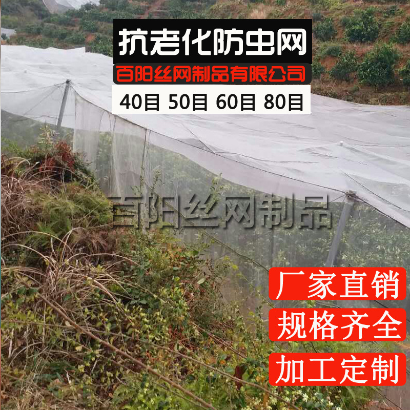 防蟲網 蔬菜果蔬防蟲多肉植物大棚防蟲網 全新料抗老化