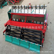 河南大蒜种植机厂家热销种蒜机图片省人工大蒜点播机图片