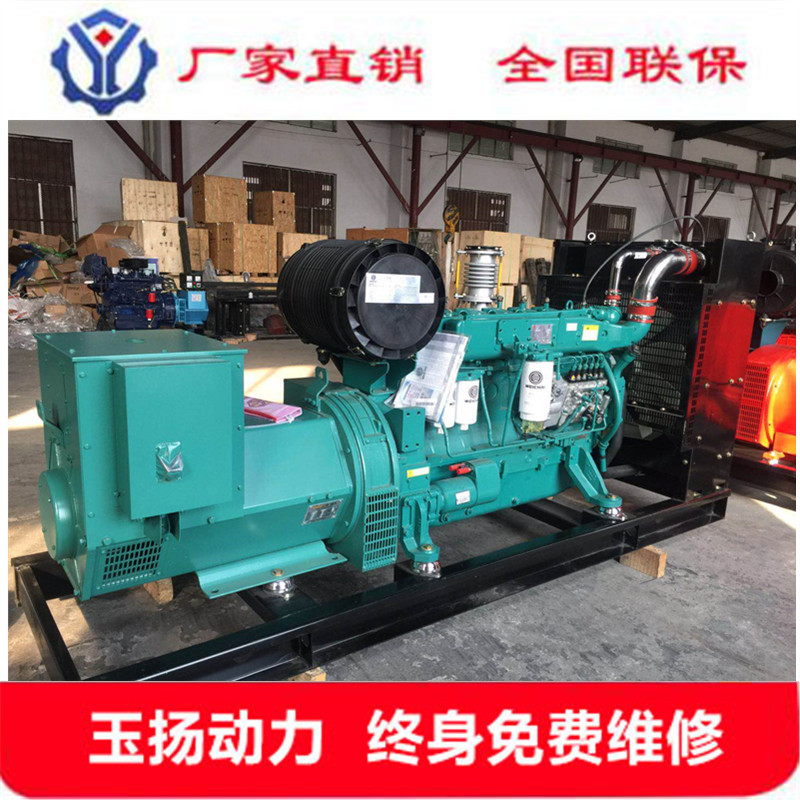 梧州200kw发电机 酒店宾馆备用电源 200千瓦全铜无刷备用发电机